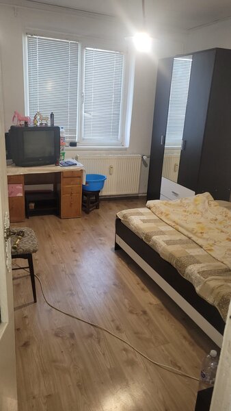 Colentina, Teiul Doamnei,