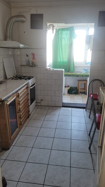 Colentina, Teiul Doamnei,