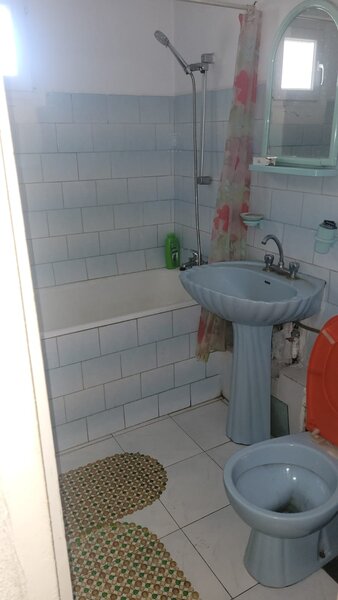 Colentina, Teiul Doamnei,