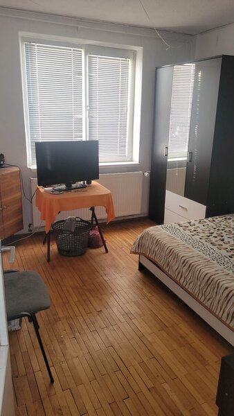 Colentina, Teiul Doamnei,