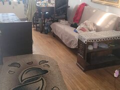 Colentina, Teiul Doamnei